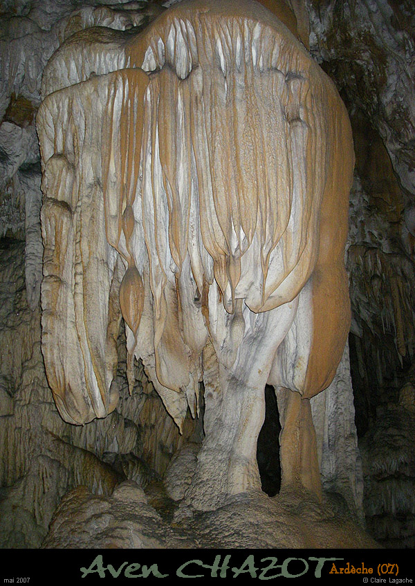 chazot_gal11_cl