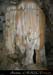 chazot_gal11_cl