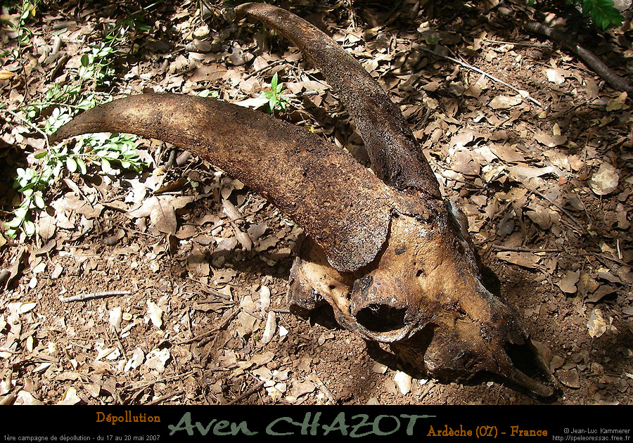 chazot_extos1_jl