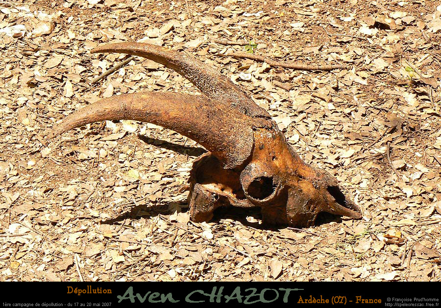 chazot_extos4_fp