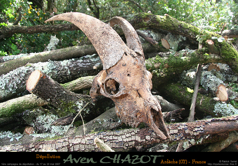 chazot_extos5_ps