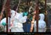 chazot0711_portic32fp