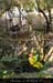 chazot0711_puits12fp