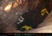 chazot07113_inb01jl