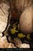 chazot07113_ine03mm