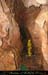 chazot07114_inf07mm