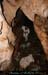 chazot07114_inf09mm