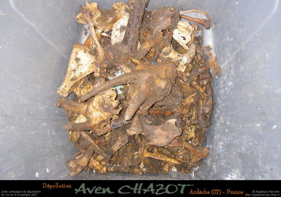 chazot0711_trid06an