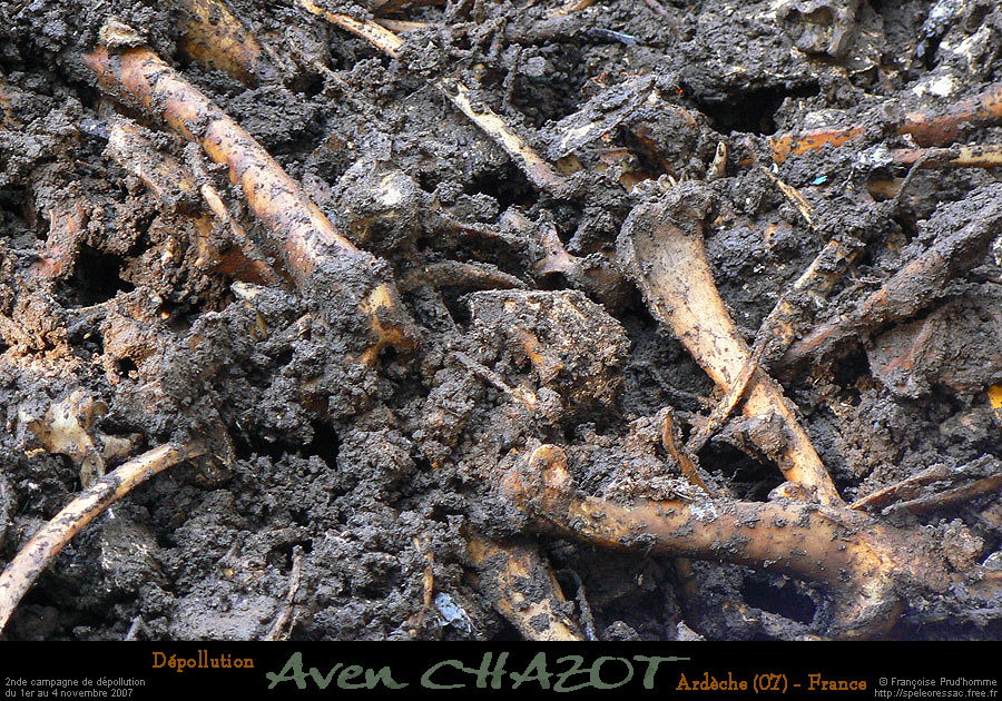 chazot0711_trid08fp