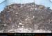 chazot0711_trid09an
