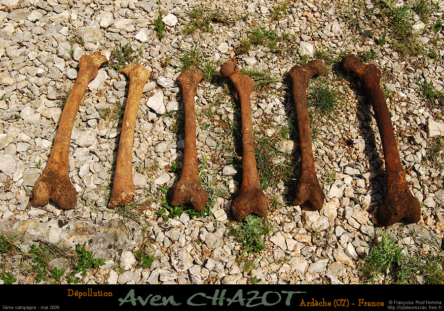 chazot0805_osh02fp