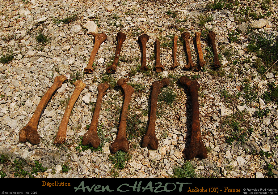 chazot0805_osh03fp