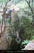 chazot0805_ptu10fp