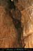 chazot0811_in209