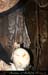 chazot0811_in420