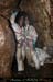 chazot0811_in443