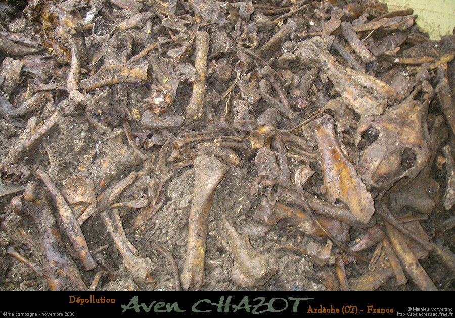 chazot0811_os01