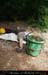 chazot0905_bonus14jl