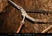 chazot0905_p109mm