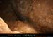 chazot0905_p1pr16mm