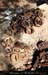 chazot0905_obj01nc