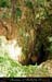 chazot0905_puitsht01fp