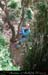 chazot0905_puitsht13jl