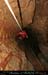chazot0905_puits03mm