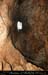chazot0905_puitsbs01mm
