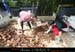 chazot0905_tri16rc