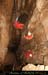 chazot0911_in320mm