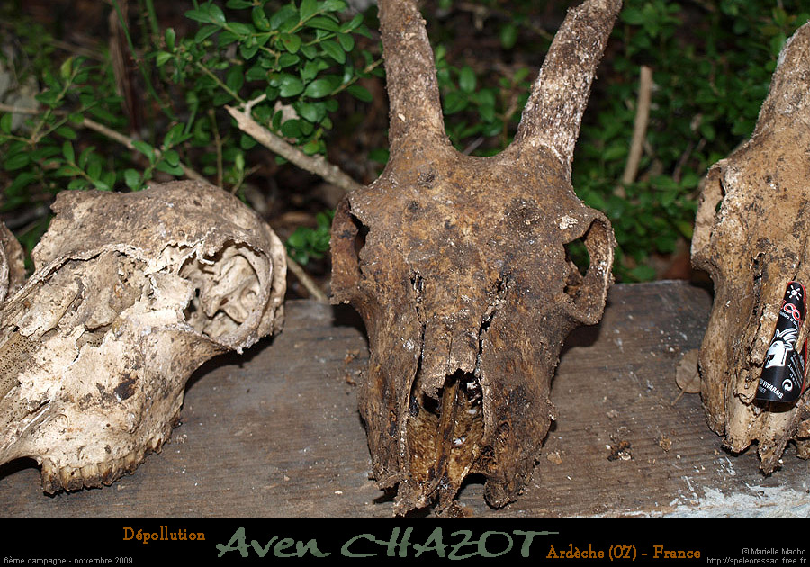 chazot0911_ob08dm