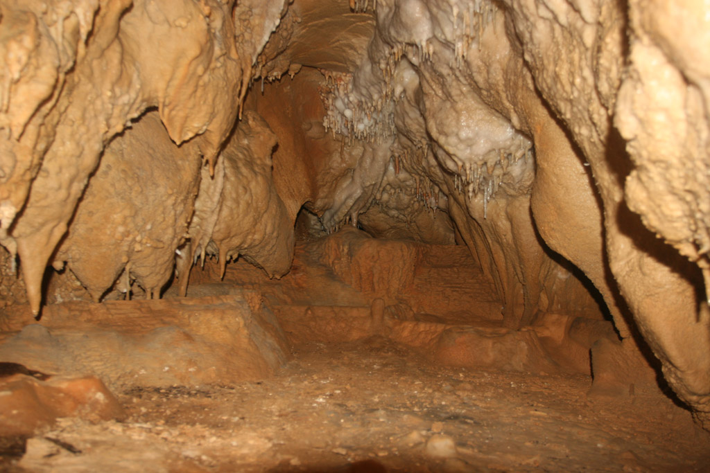 20100114_039