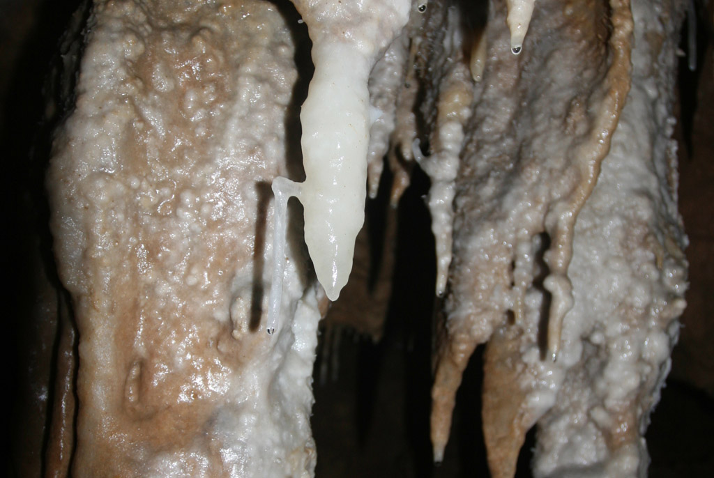 20100114_068
