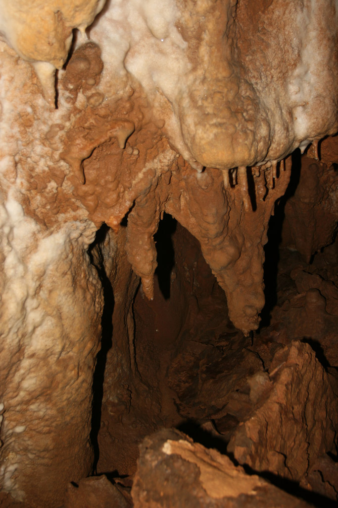 20100114_098
