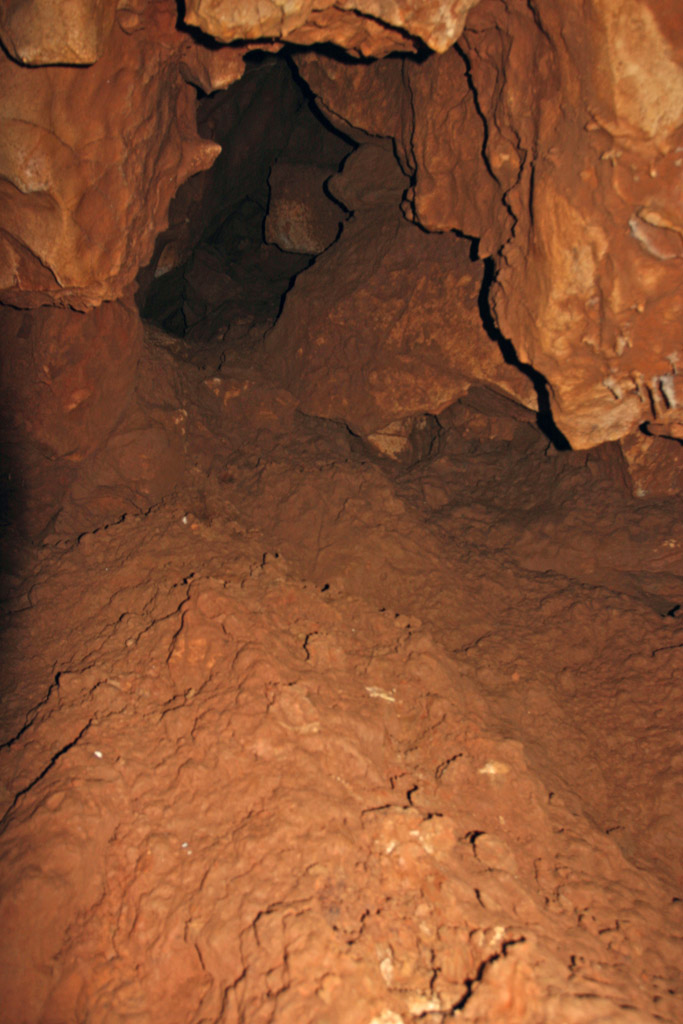 20100114_105