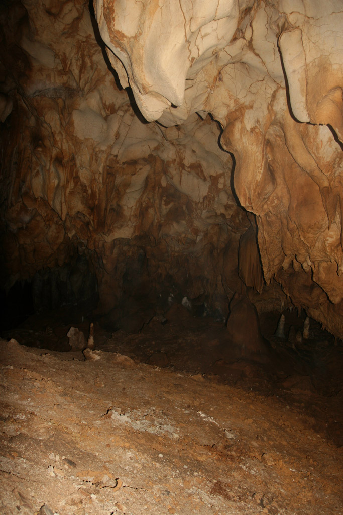 20100114_127
