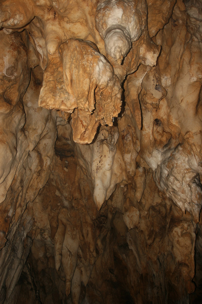 20100114_133