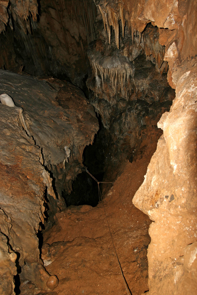 20100114_139