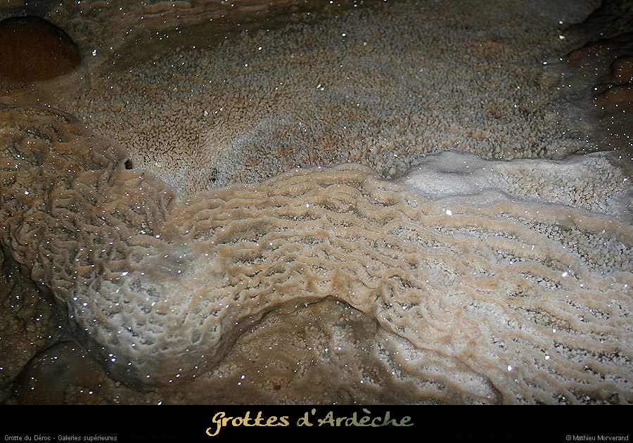 20100114_derocsup16