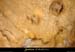20000715_grotteduderoc_interieur_marques