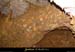 20060902_deroc3