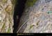20051009_avendelagrandcombe_entree_5