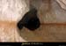 20001122_grottevallon_2