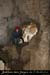 20081219_5fenetres_couloir1_1