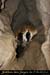 20081219_5fenetres_couloir1_2