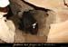20081219_5fenetresniv0_cave2