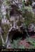 20020825_9gorges_02