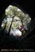 20080210_9gorges_15b