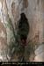 20080210_9gorges_17b